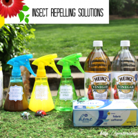 How to repel insects