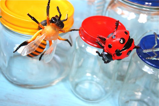 Bee Magnetic Bug Jars for Storage - Yesterday on Tuesday