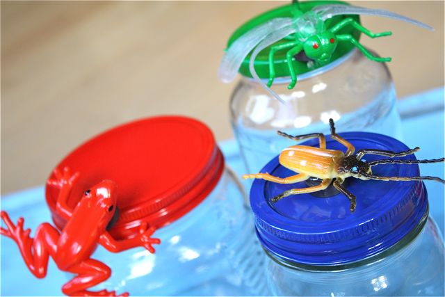 Red Frog Magnetic Bug Jars for Storage Frog - Yesterday on Tuesday