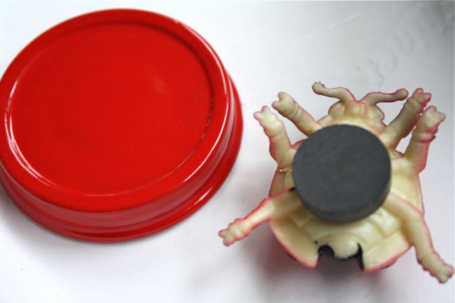 Adhering Magnet Magnetic Bug Jars Ladybug - Yesterday on Tuesday