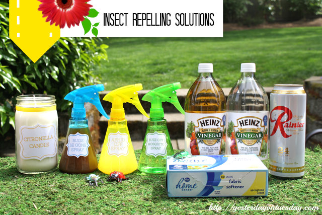 Insect Repelling Solutions