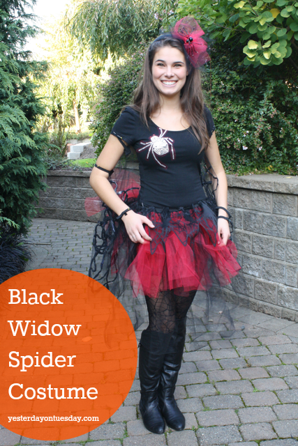 DIY Black Widow Spider Costume