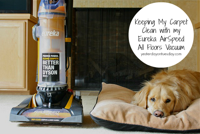 Keeping My Carpet Clean with the Eureka AirSpeed All Floors Vacuum