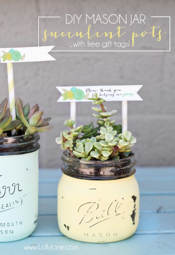 Mason Jar Succulents with Tags 