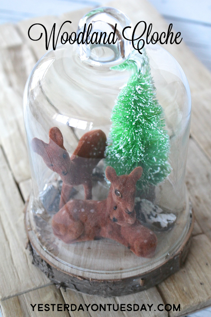 DIY Woodland Cloche, great for Christmas Decorating
