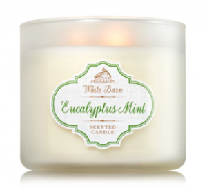 Eucalyptus Mint Candle from Bath and Bodt Works, one of my January must-haves!