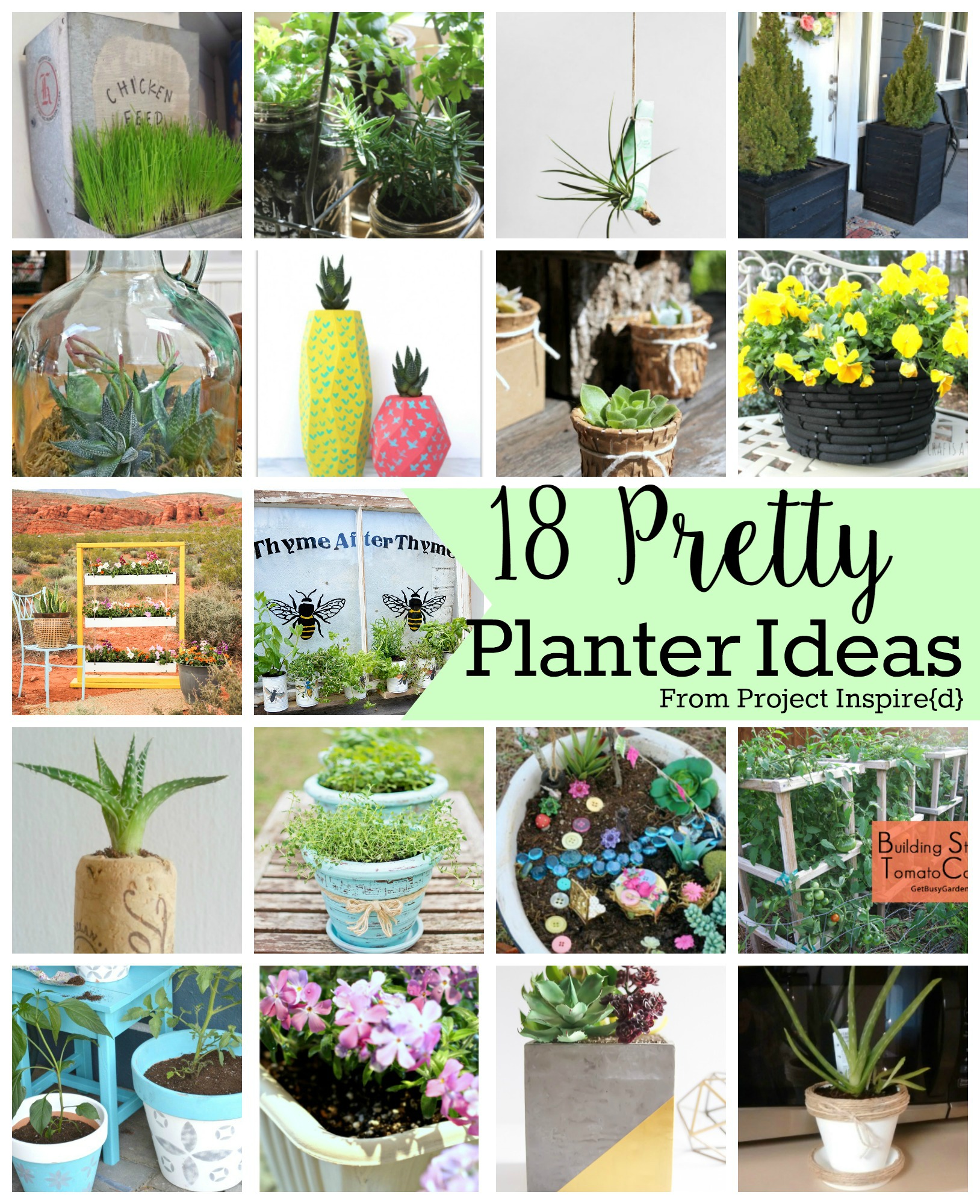18 Pretty Planter Ideas