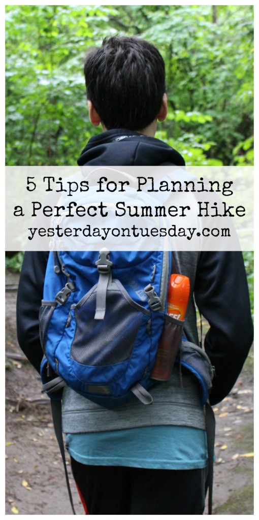 5 Tips for Planning the Perfect Hike