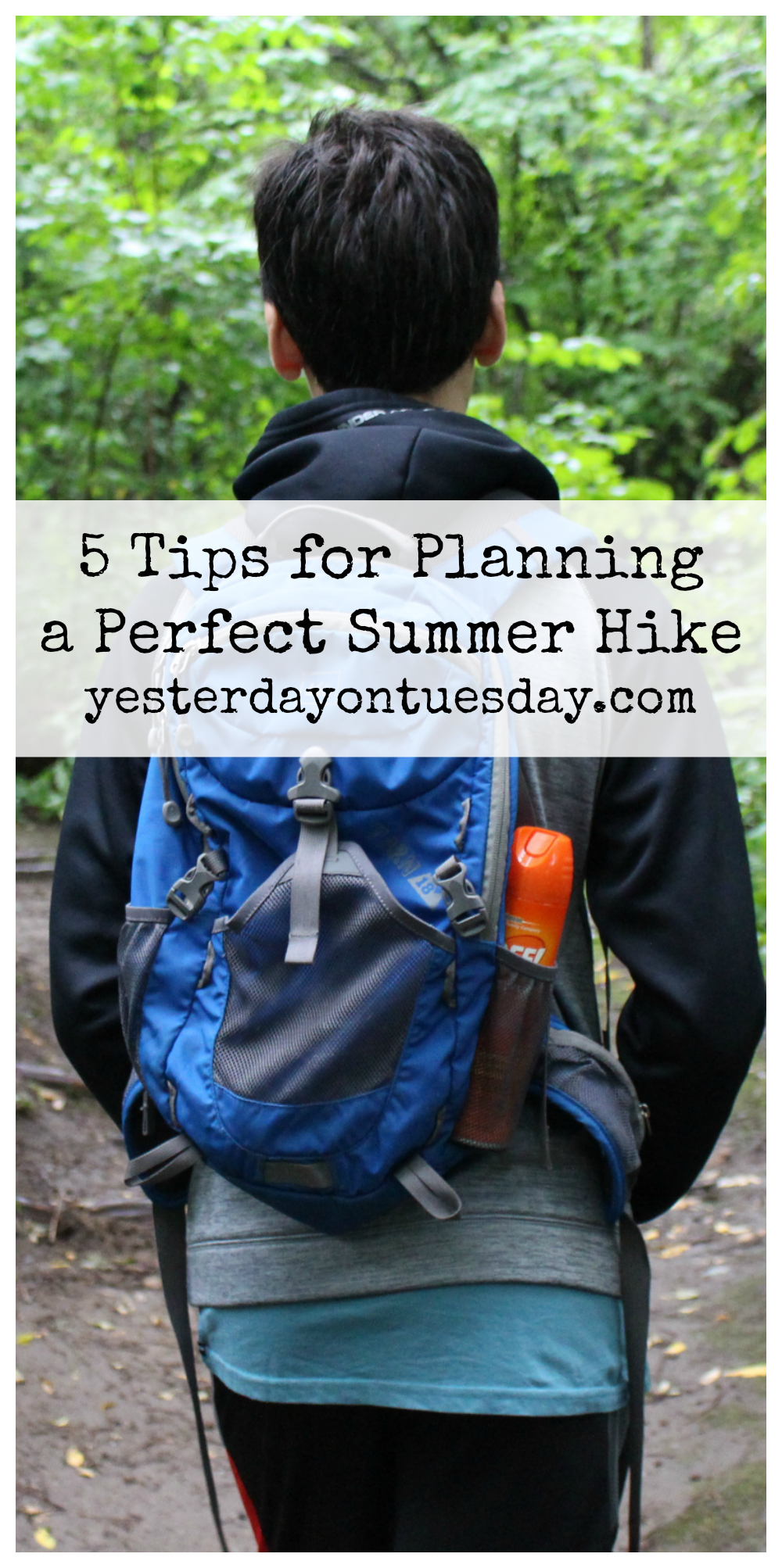 5 Tips for Planning a Perfect Summer Hike