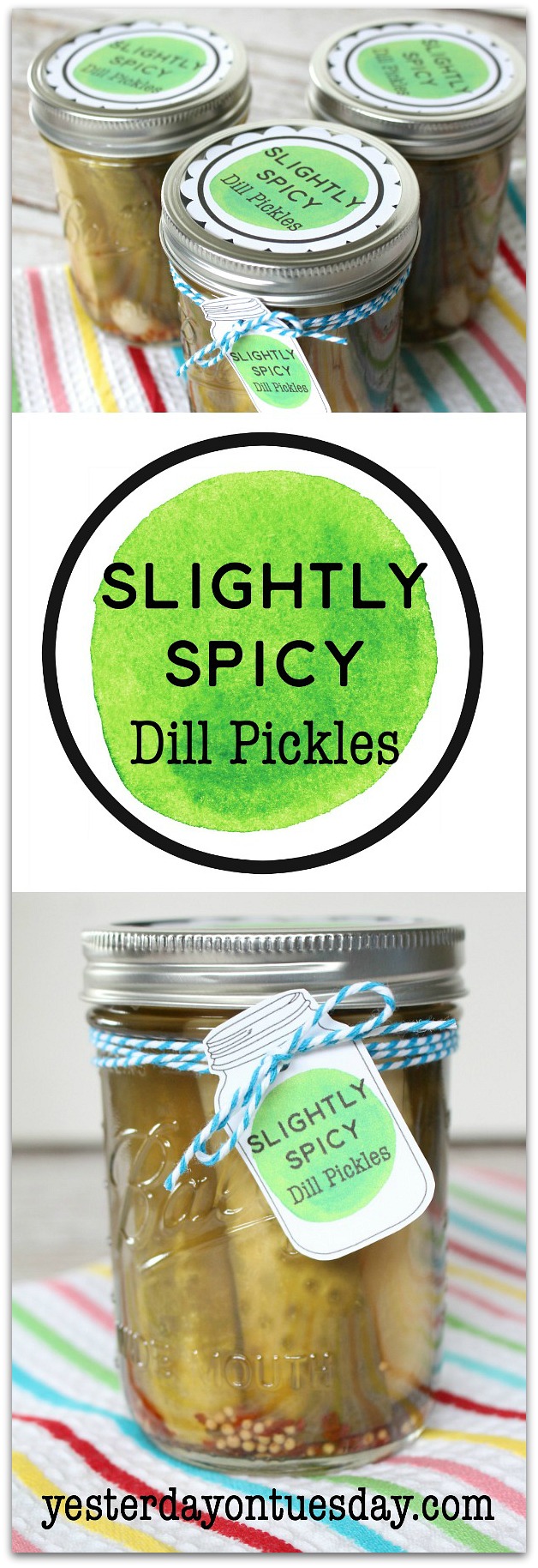 Slightly Spicy Dill Pickles