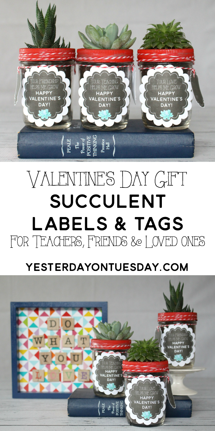 Valentine’s Day Gift Succulent Labels and Tags