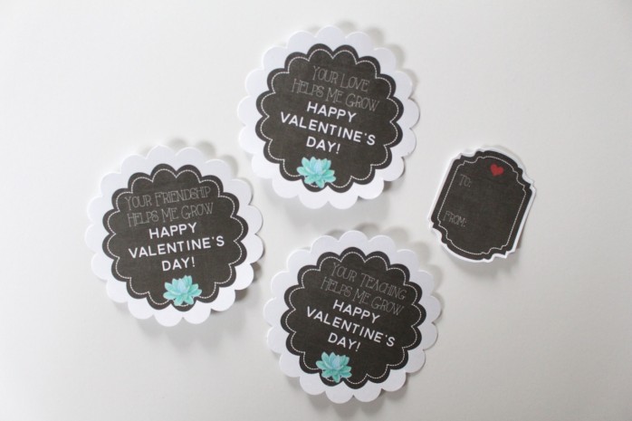 Valentine's Day Succulent Gift Labels and Tags: Cute chalkboard labels and tags for friends, teachers and loved ones. Just add succulents!