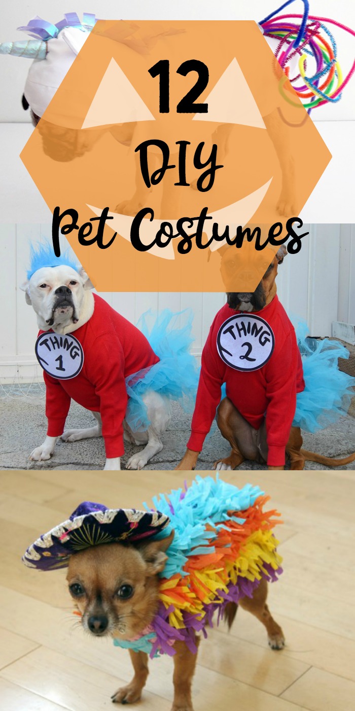 12 DIY Pet Costumes