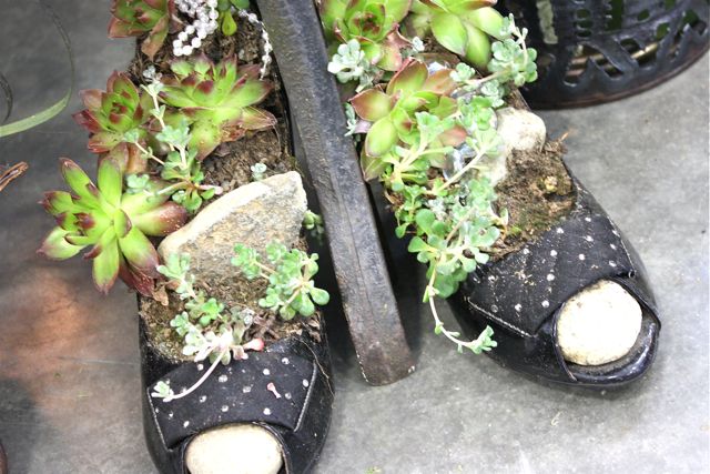 Succulents-shoe-planters