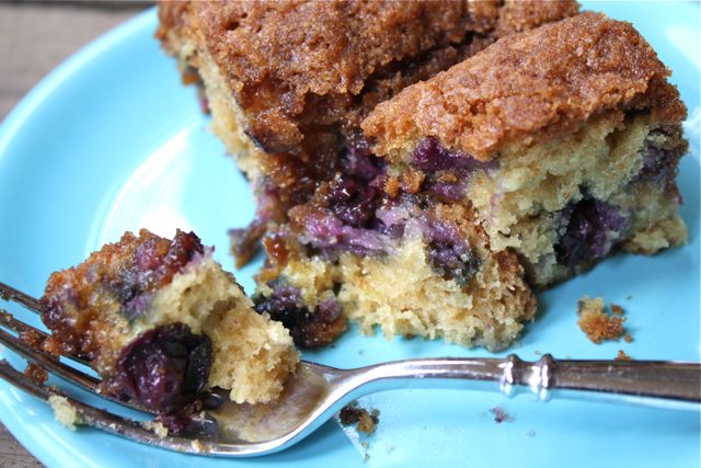 Blueberry-coffee-cake-closeup