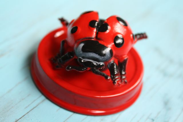 Ladybug Magnetic Bug Jars Ladybug Lid - Yesterday on Tuesday