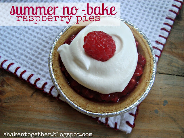 Summer no-bake raspberry pies main BLOG