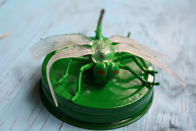 Green Bug Magnetic Bug Lids - Yesterday on Tuesday