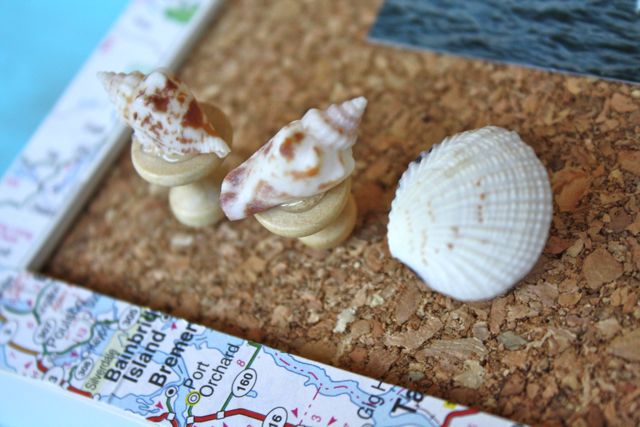 Shell Pushpins on Corkboard - Yesterday on Tuesday