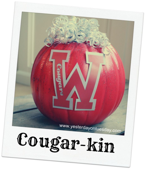 Cougar-kin -Yesterday on Tuesday #pumpkin