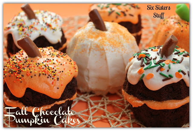 Chocolate Pumpkin Cakes