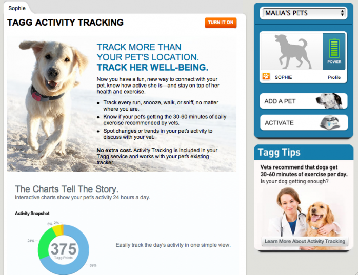 Tagg Pet Tracker Product
