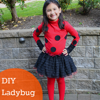 DIY Ladybug Costume
