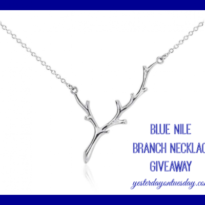 Blue Nile Necklace Giveaway