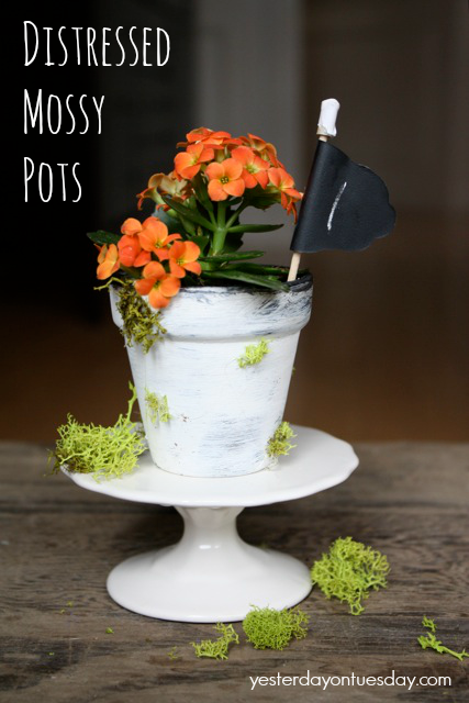 Painted Flower Pots #flowerpots #distressedpaint #flowers