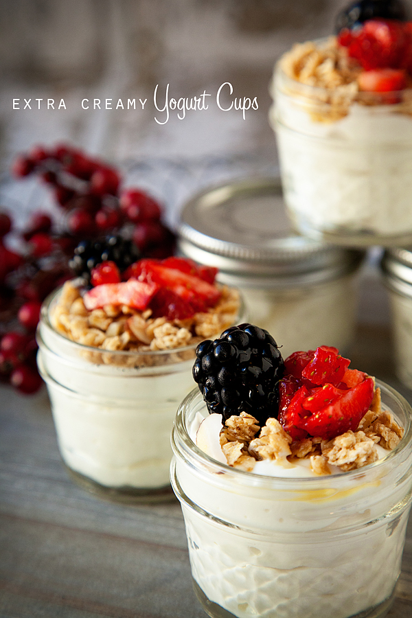 Creamy Yogurt Cups from Whipperberry