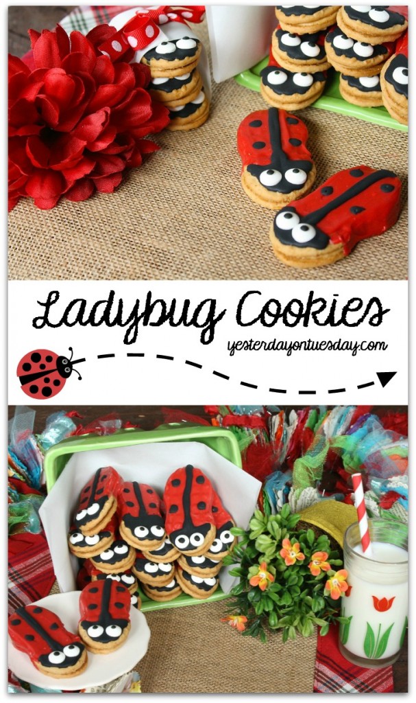 Ladybug Cookies