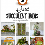 Sweet Succulent Ideas for both real and faux succulent plants. Decor and gift ideas.