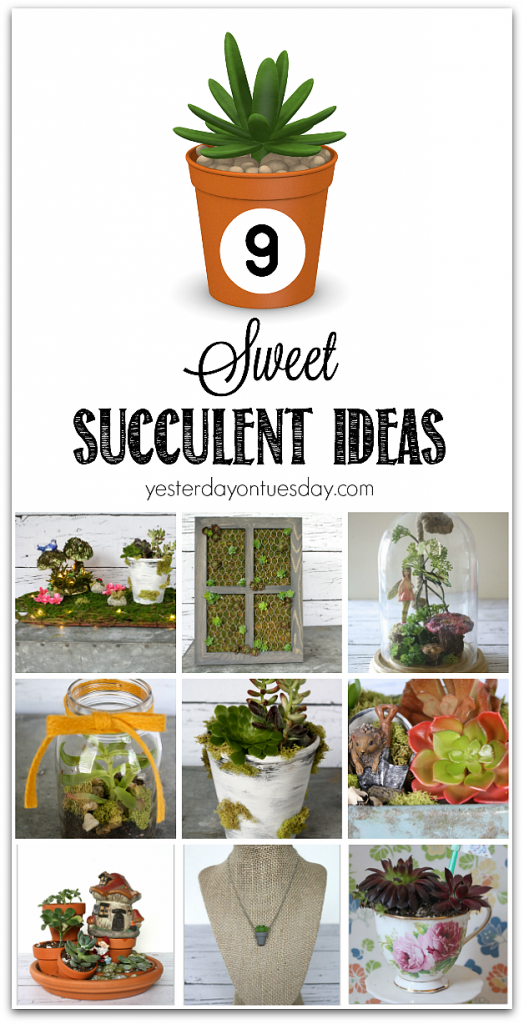 Sweet Succulent Ideas for both real and faux succulent plants. Decor and gift ideas.