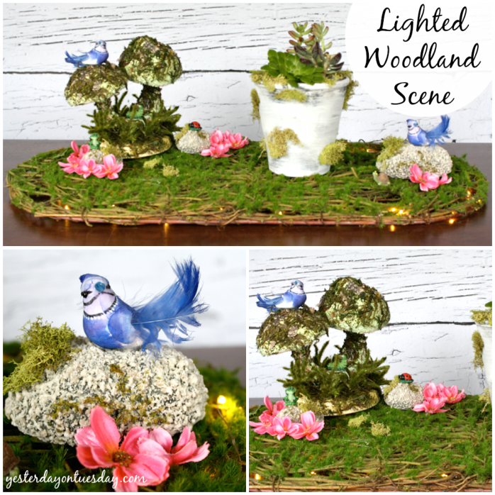 Lighted Woodland Scene with Succulents