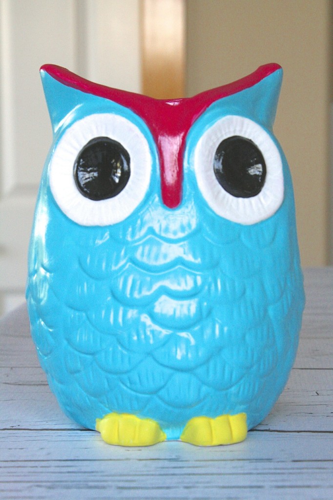 Painted Owl