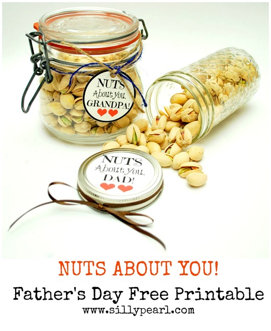Nuts About You Fathers Day Free Printable Jar Tag 