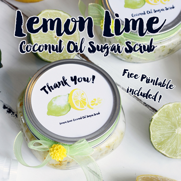 Coconut Lemon Line Sugar Scrub