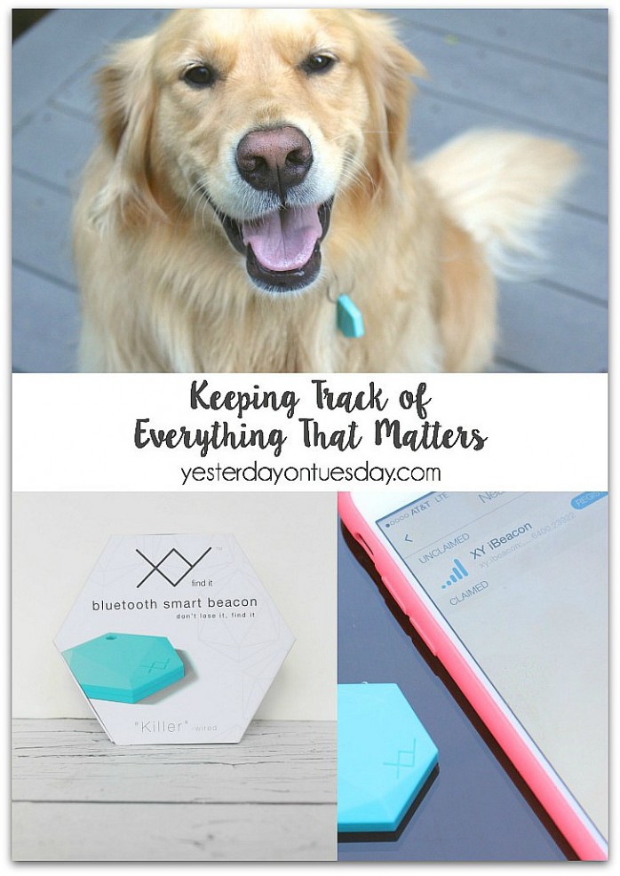 Keeping Track of Everything That Matters with the  XY Find It, a loss prevention device that helps you keep track of your possessions and pets!