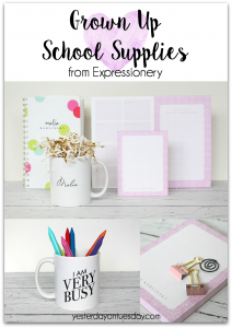 Grown Up School Supplies from Expressionery