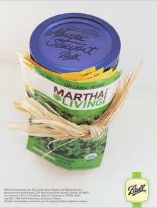 Martha Stewart Jar