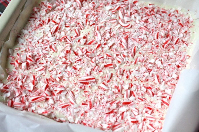 Peppermint Bark recipe, great for holiday gift giving and entertaining. A delicious Christmas treat.