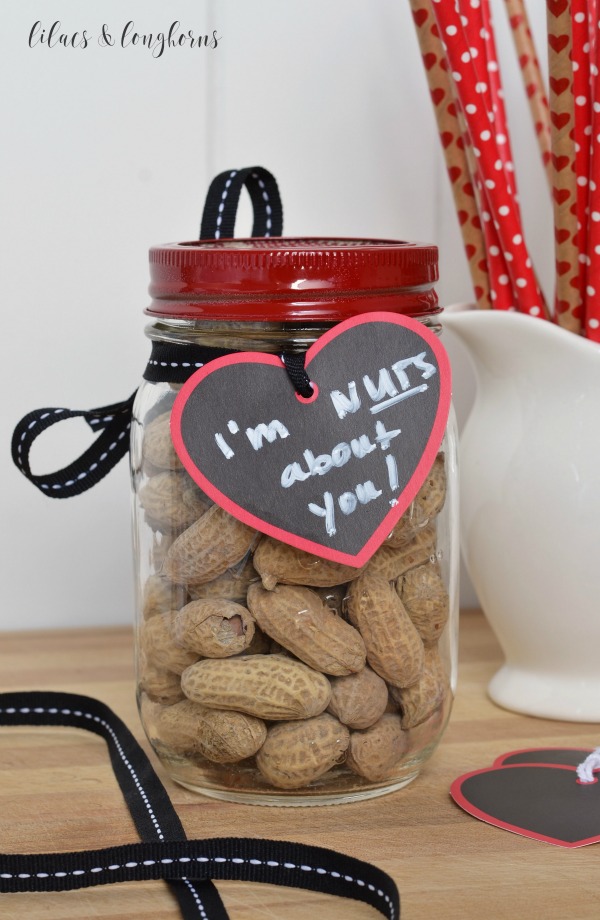 Nuts about you Valentine Mason Jar Gift