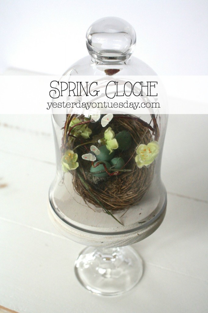 Lovely DIY Spring Cloche project 