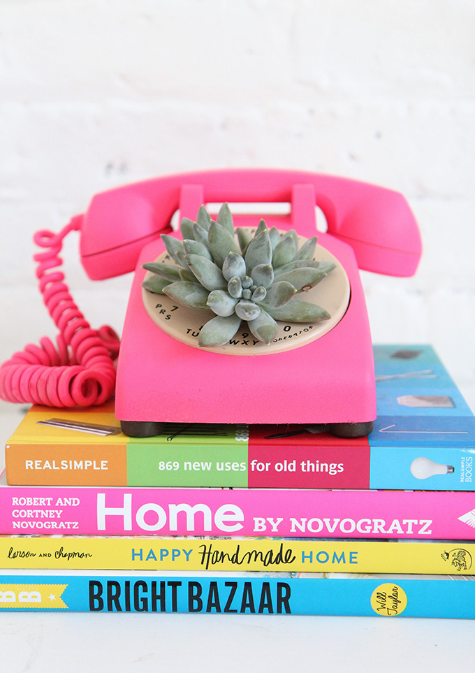 DIY Succulent Phone