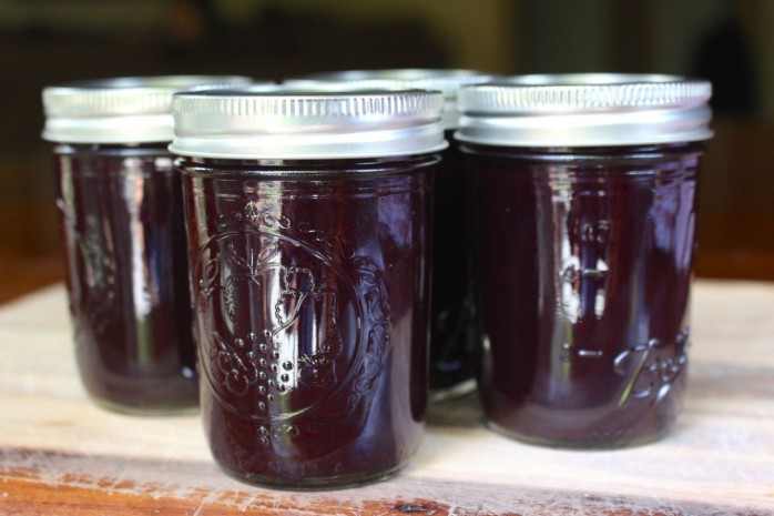 Blueberry Jam Recipe: An easy and delicious recipe for blueberries. Great on crackers, bread and ice cream.