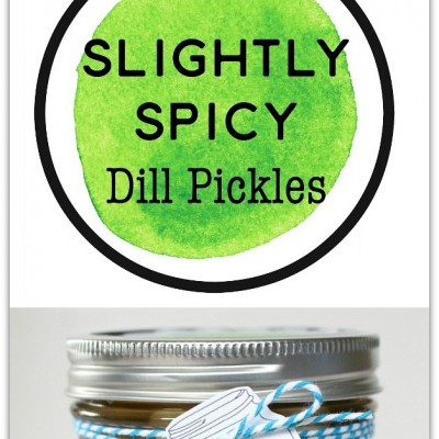Slightly Spicy Dill Pickles