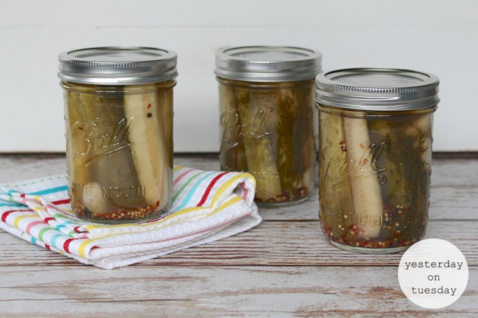 Slightly Spicy Dill Pickles Recipe: How to make deliciously spicy dill pickles at home! Perfect for barbecues and picnics.