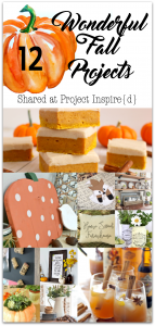 12 Wonderful Fall Projects including a wood pumpkin, pumpkin bars, a cute fox book bag and more.
