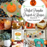 12 Perfect Pumpkin Projects and Recipes