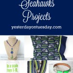 7 Fantastic Seahawks Projects including a scarf jewelry, a pillowcase, beer mug and more!